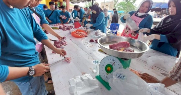 Pelindo Regional 4 Berkurban 53 Ekor Sapi