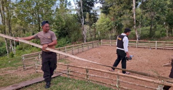 Arena Sabung Ayam Digerebek Polisi, Mantan Anggota DPRD ini Langsung Ngacir
