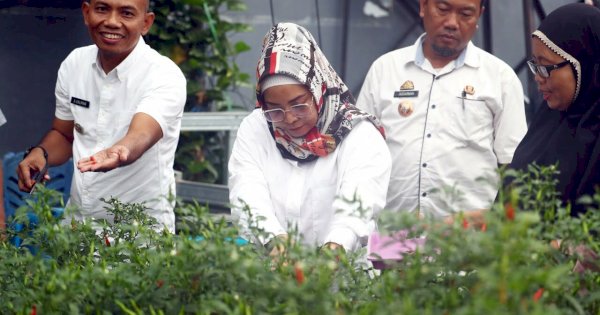 Legislator Ini Takjub Kreatifitas di Longwis Karmila Sari, Tamalanrea