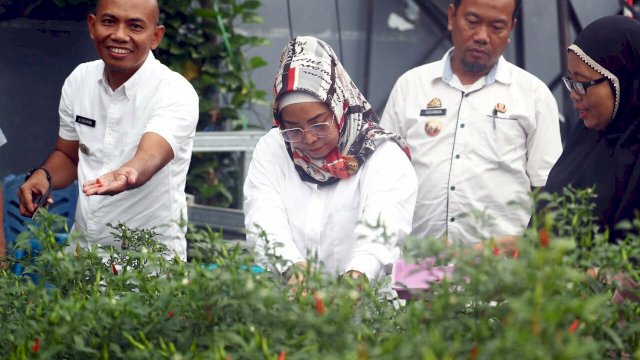 Legislator Ini Takjub Kreatifitas di Longwis Karmila Sari, Tamalanrea