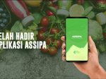 Cek Harga Pangan di Pasar Lewat Aplikasi di Play Store Assipa