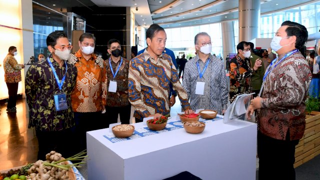 Presiden Jokowi. Dok. Biro Pers