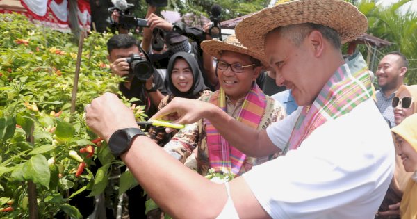 Panen Cabai dan Nila di Longwis, Ganjar: Saya Senang, Semangat Gotong Royongnya Tinggi