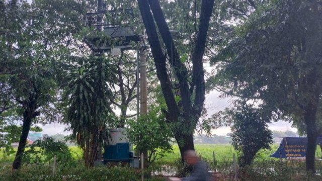 Pengendara melintas dibawah ranting patah, Jumat (4/11). 