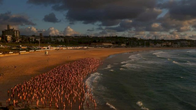 (Photo by Lisa Maree Williams/Getty)