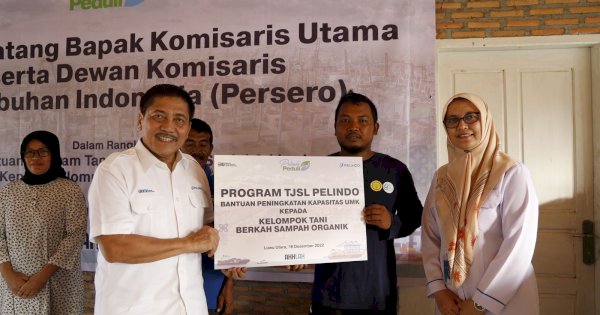 Tingkatkan Kapasitas UMK, Pelindo Bantu 4 Kelompok Tani di Luwu Utara