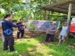 PkM Pertanian UMI Dorong Petani di Padang Lampe Tanam ‘Ase Lapang’