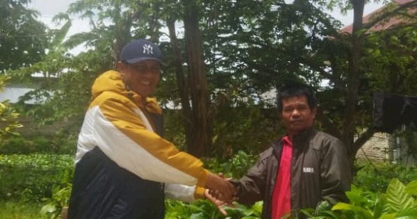 Tingkatkan Ekonomi Masyarakat, Wakil Ketua I Bagikan Tanaman Bibit Kopi