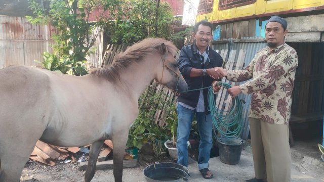 Kekurangan Bantuan Kuda Jeneponto Akhirnya Diselesaikan