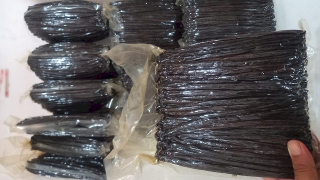 Dafe Spices Indonesia Sukses Pasarkan Vanili di Eropa, Ekspor dengan Pesawat Udara
