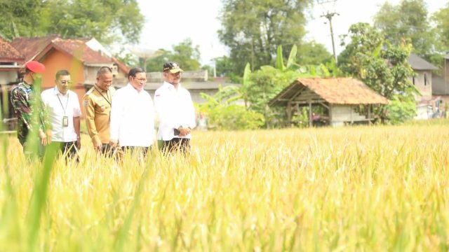 Mentan SYL Canangkan Percepatan Tanam di Kebumen