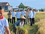 Hari Kedua di Sulsel, Presiden Tinjau Panen Padi hingga Smelter