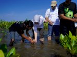 Pelindo Jasa Maritim Kolaborasi Dengan Komunitas Taman Mangrove di Pantai Pokko