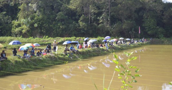 Amazing Mamasa, Intip Keseruan Lomba Mancing Yang Dibuka Wabup Marthinus