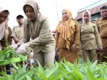 Jelang Lomba Kelurahan Tingkat Kabupaten Kota 2023, Fatmawati Rusdi Panen Aneka Sayuran