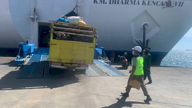 Dokumen Tak Dipenuhi, Karantina Pertanian Makassar Kembalikan 6 Ekor Kerbau ke Surabaya