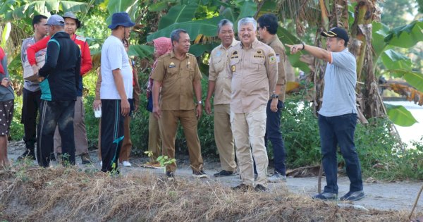 Bupati Pinrang Gerakkan Masyarakat kendalikan Tikus Sawah