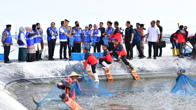 Wapres RI Akui 4 Bulan Terakhir Ekspor Udang Berkontribusi Signifikan