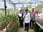 Dukung Program Kemandirian Pesantren, Wapres Panen Kangkung di Ponpes Hajar Aswad