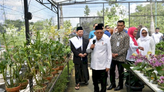 Dukung Program Kemandirian Pesantren, Wapres Panen Kangkung di Ponpes Hajar Aswad