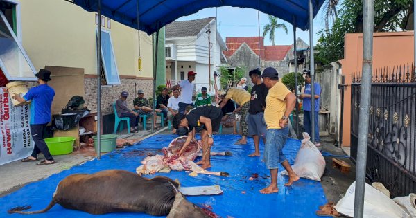 Masjid Al Ikhlas Prima Griya Sembelih Enam Ekor Sapi Dari Hasil Warga Kompleks