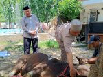 Usai salat Idul Adha, BKPSDM dan PT Taspen Bagikan Ratusan Daging Kurban