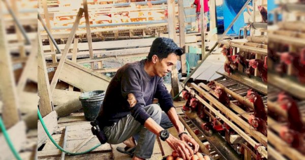 Harga Telur Meroket, LaNyalla Ingatkan Kemendag Soal Suplay Pakan Ternak 