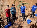 Danny Pomanto-Bima Arya dan Delegasi YCC Rakernas APEKSI XVI Gelar Penghijauan di Tokka Tena Rata