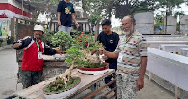 PPBI Lutra Gelar Festival Bonsai HUT RI, Diikuti 400 Peserta