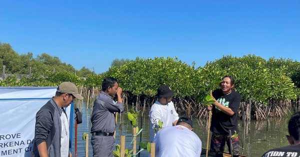 Bertahap, 7500 Pohon Akan Ditanam di Makassar