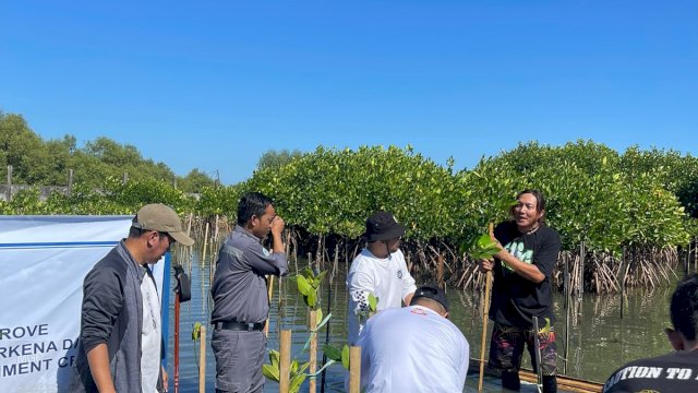Bertahap, 7500 Pohon Akan Ditanam di Makassar