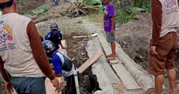 Jembatan dari Kayu Kelapa Dibangun Warga Mekar Sari Jaya, Tanggapi Ketidakperhatian Pemerintah Lutra