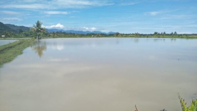 Petani Tambak Sulawesi Barat khususnya di Desa Kabuloang Kecamatan Kalukku Mamuju alami Kerugian akibat banjir setiap tahun.Foto:ist