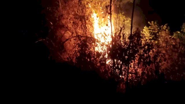 Lahan Milik Perhutani di Bukit Gili Windusari Magelang, Terbakar