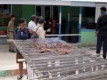 Destinasi Wisata Pulau Morotai, Peluang dan Kendala