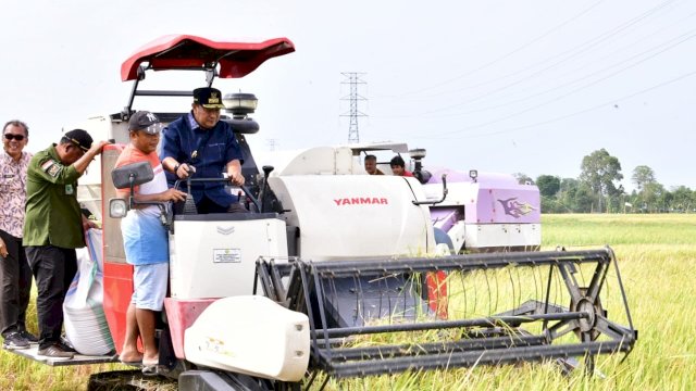 PJ Gubernur Sulsel ikut melakukan panen padi di Pinrang. Foto: dok Humas Pemprov Sulsel