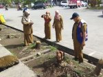 DLH Makassar Tindak Lanjuti Laporan Penebangan Pohon Ilegal di Jalan Boulevard