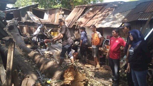 Bersama Lurah dan DLH, Legislator Ini Bantu Warga yang Rumahnya Tertimpa Pohon