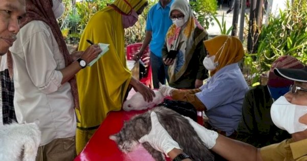 Pelayanan Kesehatan Hewan Gratis di Konter Sudiang Raya Kecamatan Biringkanaya