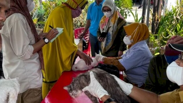 Pelayanan Kesehatan Hewan Gratis di Konter Sudiang Raya Kecamatan Biringkanaya