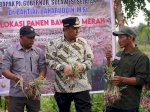 Respons Keluhan Petani Bawang Merah di Enrekang, PJ Gubernur Instruksikan Skema Bisnis Khusus