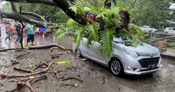 Angin Kencang beserta Hujan, Camat Ben Ingatkan Warga Tidak Parkir Kendaraan Dekat Pohon Besar