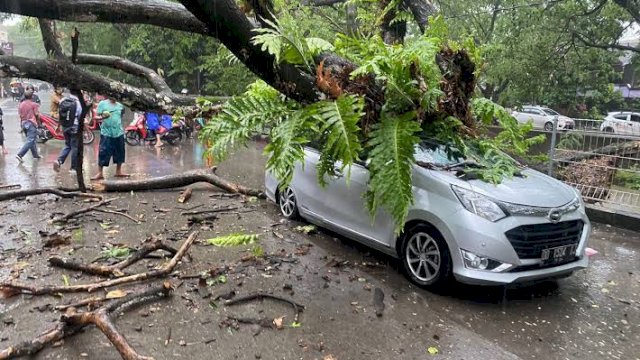 Angin Kencang beserta Hujan, Camat Ben Ingatkan Warga Tidak Parkir Kendaraan Dekat Pohon Besar