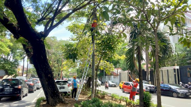 Perbaikan jaringan listrik. Foto: dok