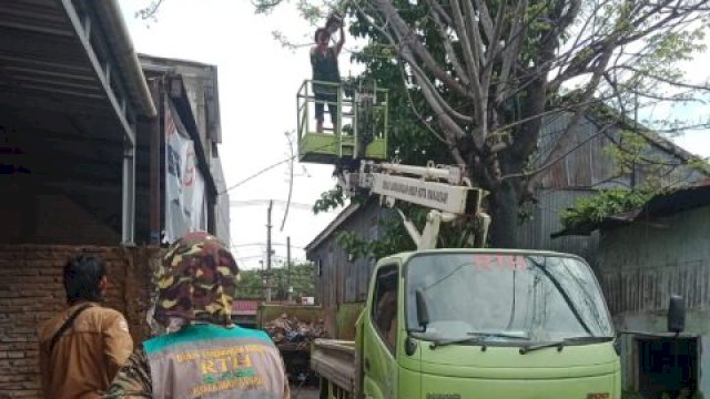 DLH Langsung Pangkas Pohon Rindang Usai Dilaporkan Oleh Pakandatto’