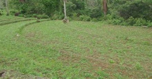 Akibat Tidak Terdaftar sebagai Penerima Pupuk Subsidi, Petani di Sinjai Terancam Gagal Panen