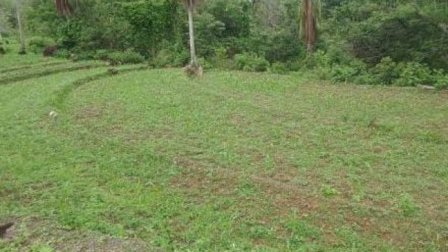 Akibat Tidak Terdaftar sebagai Penerima Pupuk Subsidi, Petani di Sinjai Terancam Gagal Panen