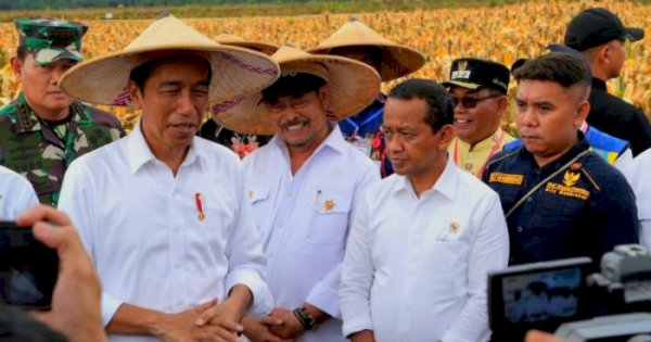 Istana Tegaskan Food Estate Bukan Proyek Gagal: Tapi Perlu Evaluasi