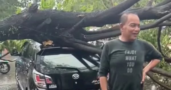 Pengendara Ini Masih Bisa Tertawa Padahal Mobil yang Dikendarainya Ringsek Tertimpa Pohon Tumbang
