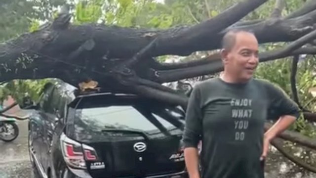 Pengendara Ini Masih Bisa Tertawa Padahal Mobil yang Dikendarainya Ringsek Tertimpa Pohon Tumbang